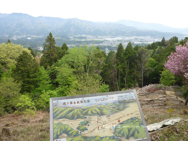 関ヶ原全景