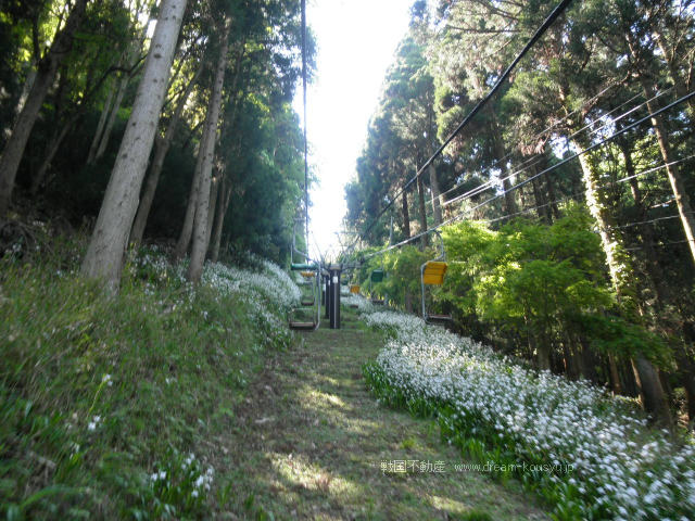 賤ヶ岳リフト